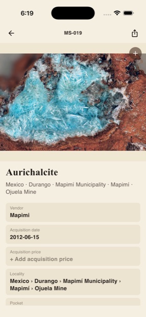 A specimen detail with photo, locality breadcrumb, and provenance